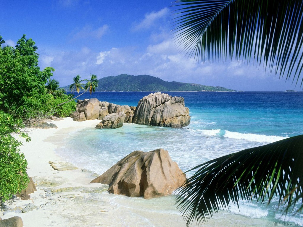 fond-ecran-45917ile-paradisiaque.jpg