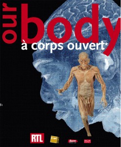 our body
