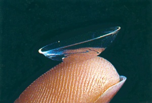 v-lentille