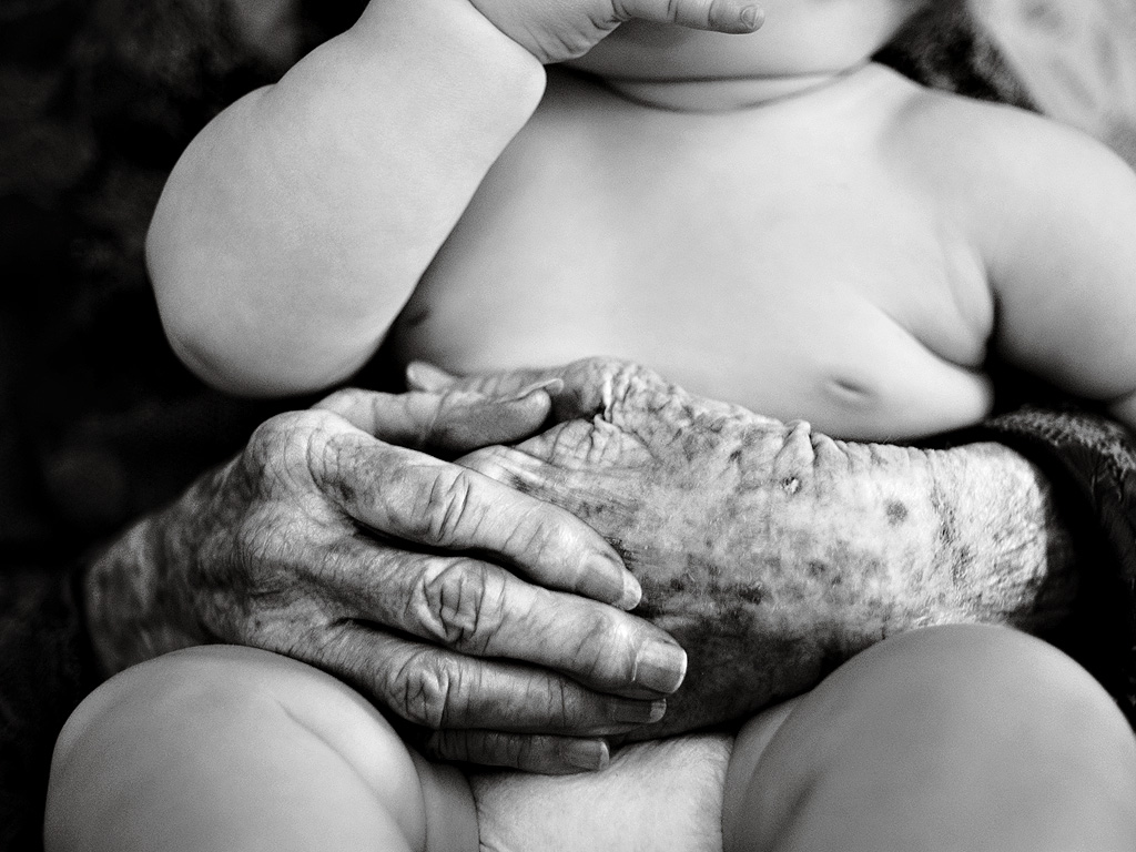 4284_five_generations