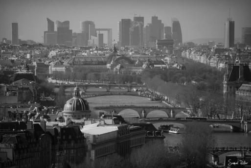 20100209131917_flying_over_paris