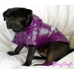 Blouson chien pluie