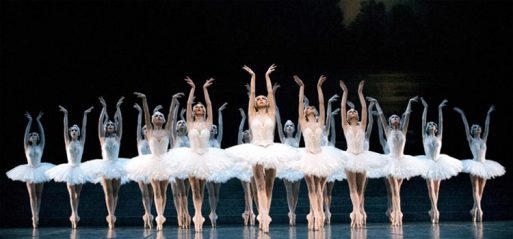 laccygnes ballerines