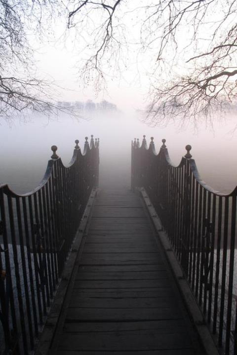 brouillard brouillard