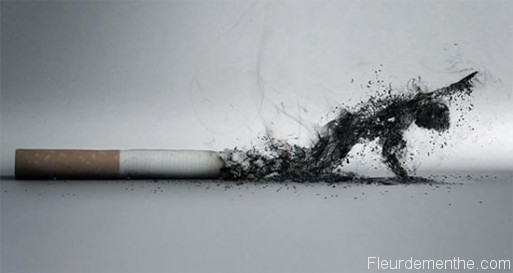 Publicité étrangère anti tabac Publicité étrangère anti tabac