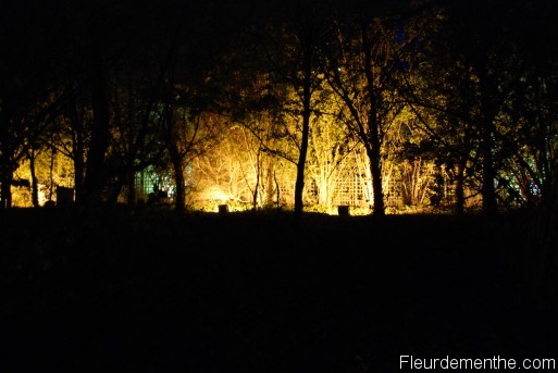 Versailles la nuit