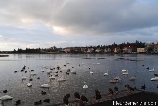 Le lac Tjörnin