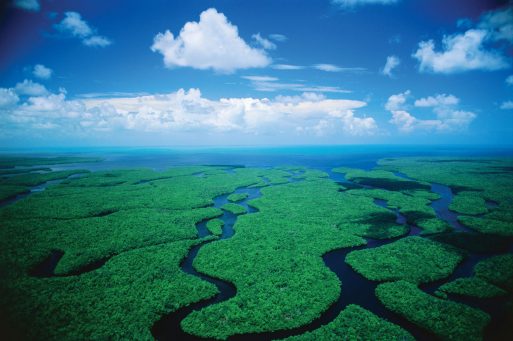 everglades floride