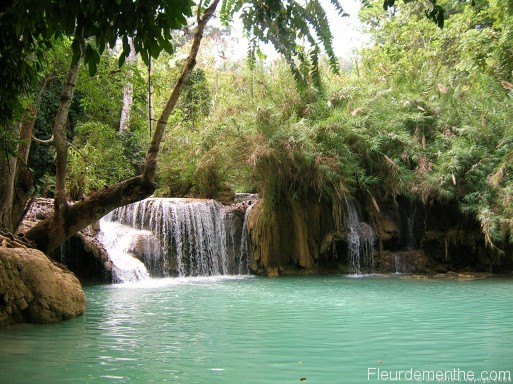 kuang si cascade Kuang Si