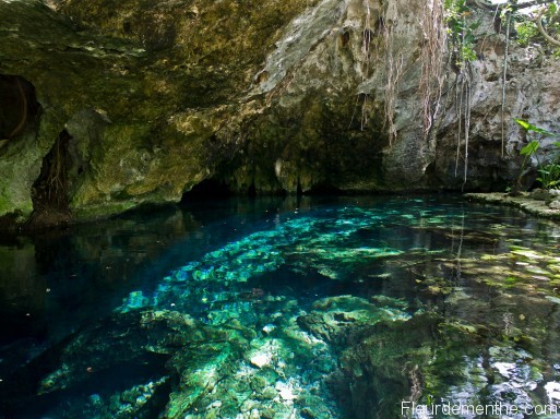 gran cenote mexico gran cenote mexico