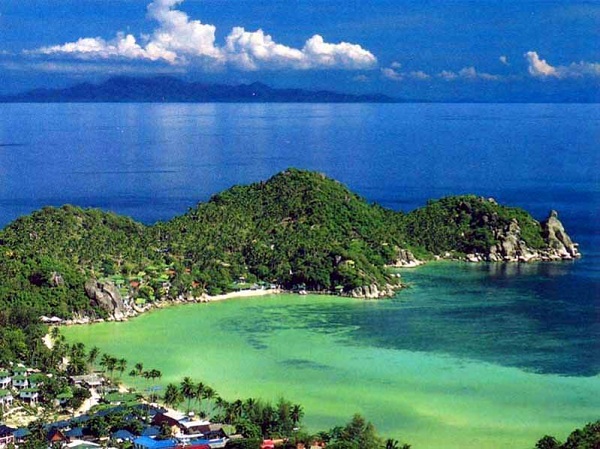 ile tortues koh tao ile tortues koh tao