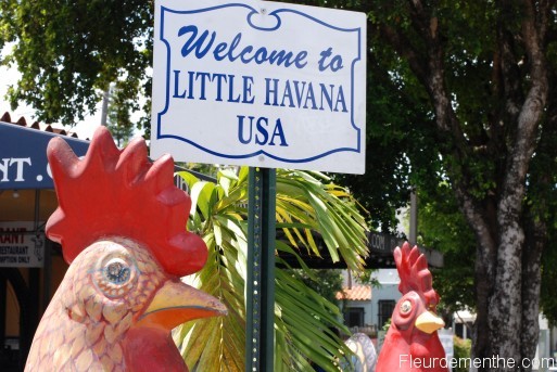 little havana