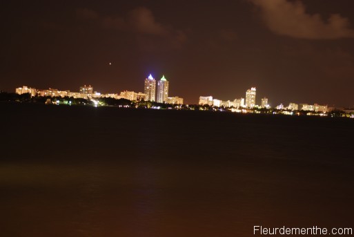 miami by night