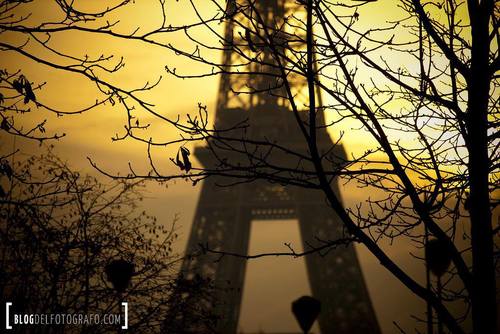 paris tour eiffel