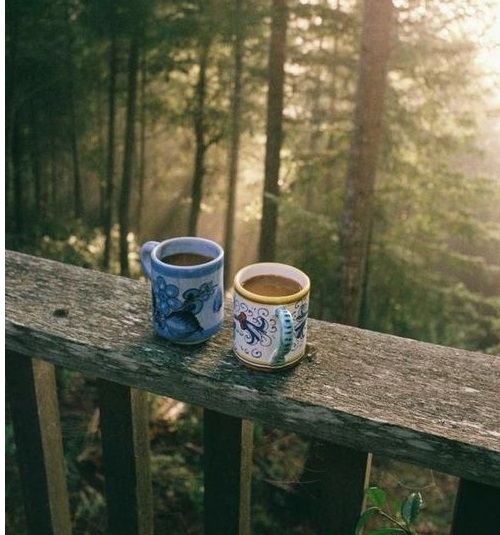 amoureux tasses matin forêt