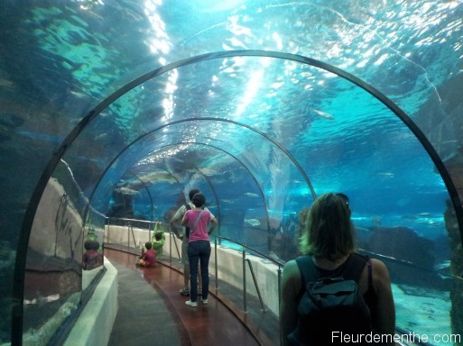 aquarium barcelone