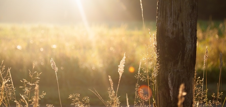 Le dernier jour de l’été